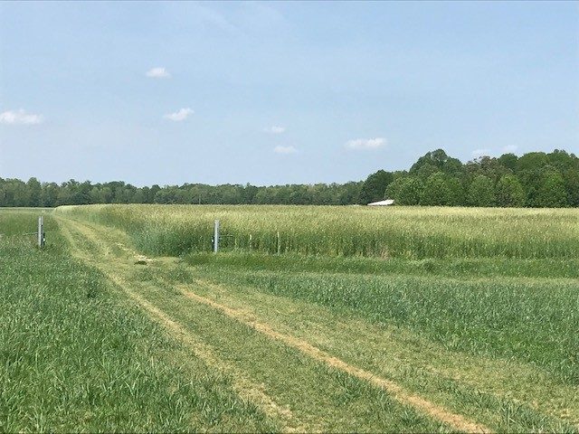 Virginia Dare Soil and Water Conservation District